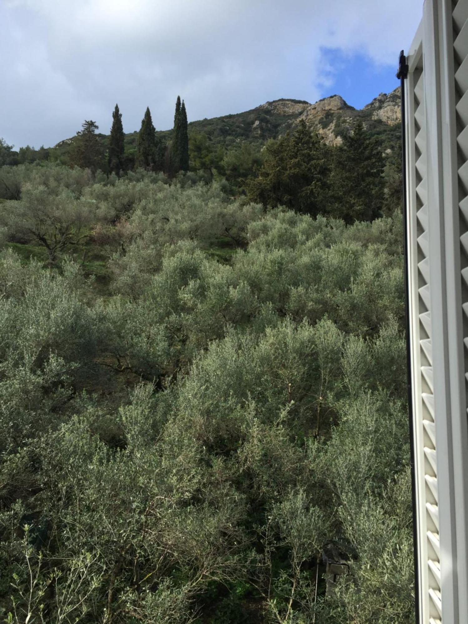 Belvedere Zakynthos Studios Vasilikos  Room photo