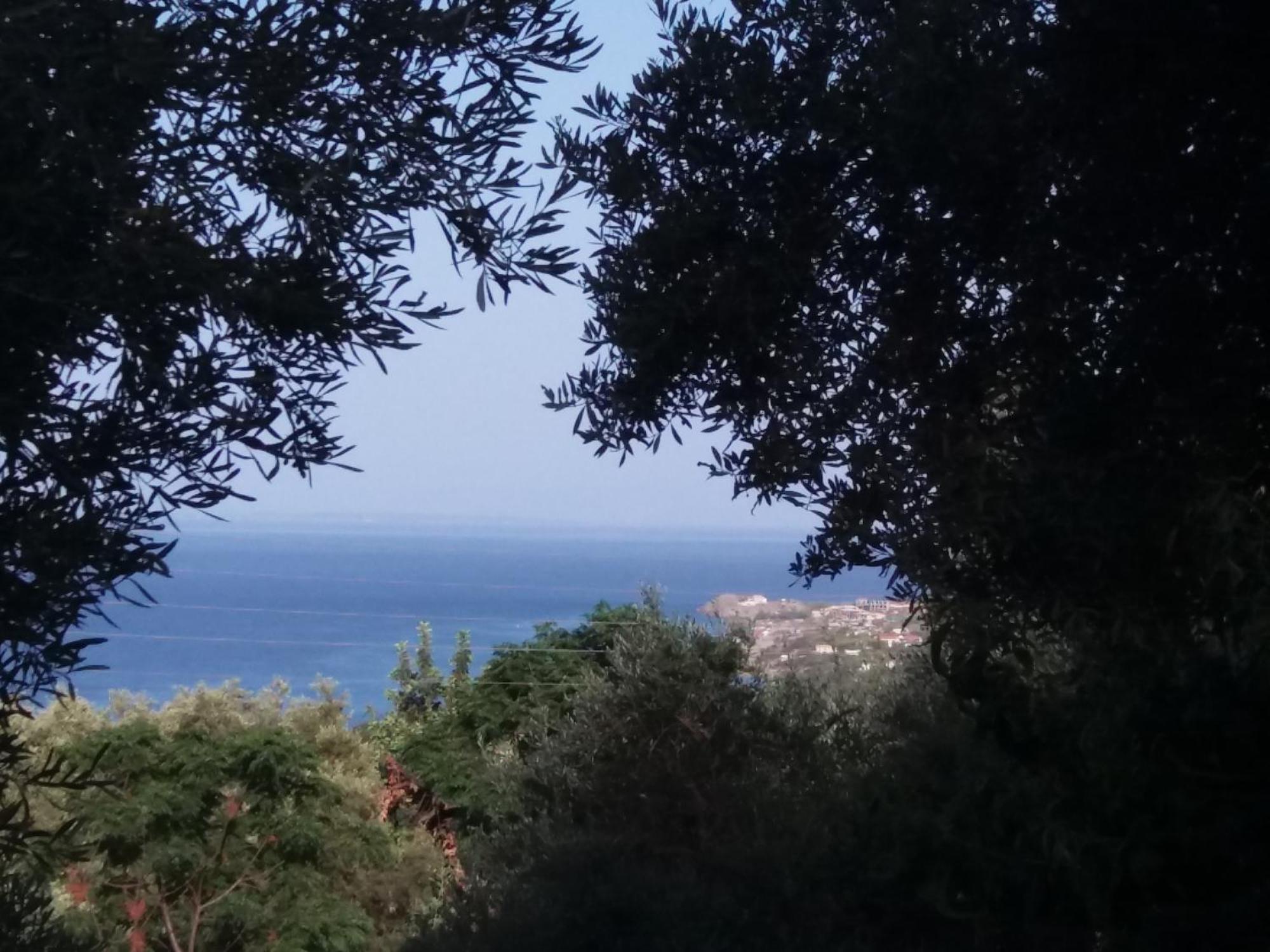 Belvedere Zakynthos Studios Vasilikos  Room photo