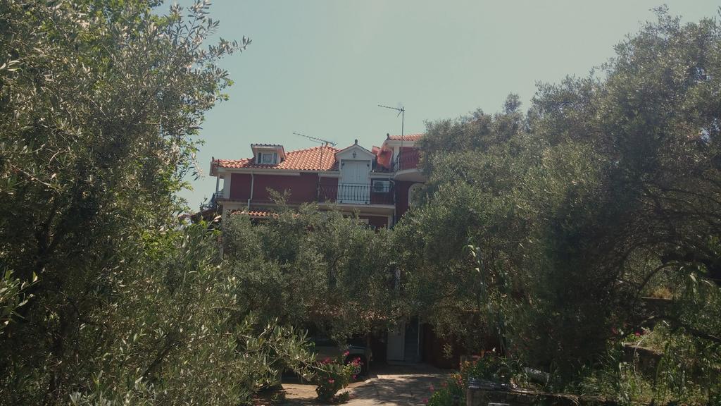 Belvedere Zakynthos Studios Vasilikos  Exterior photo